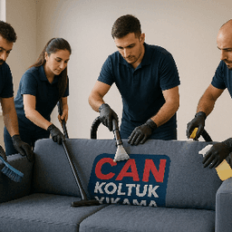 Can Y. profil fotoğrafı