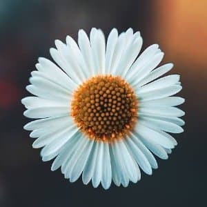 Cansu B. profil fotoğrafı