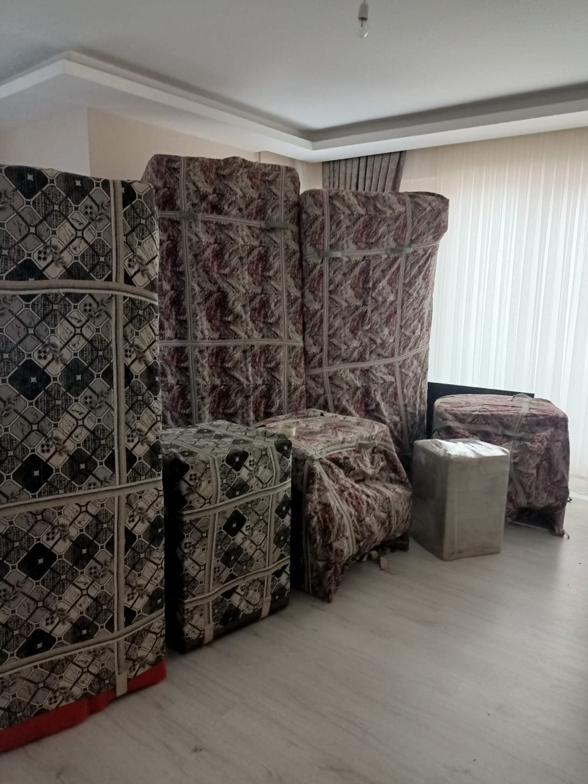 Ordu N. — çalışma 6