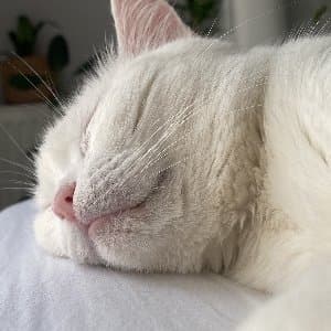 Damla M. profil fotoğrafı