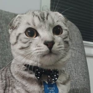 Derya K. profil fotoğrafı