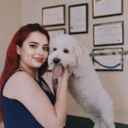 Dilan D. profil fotoğrafı