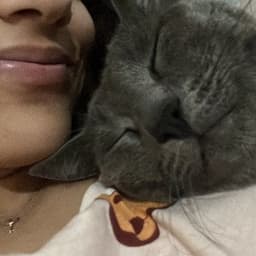 Dilan K. profil fotoğrafı