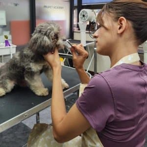 Dilasu Ö. profil fotoğrafı