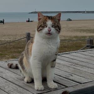 Dilek O. profil fotoğrafı