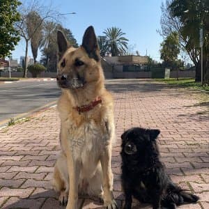 Dora G. profil fotoğrafı