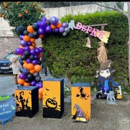 Drn O. profil fotoğrafı
