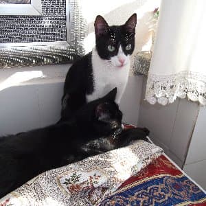 Ebru K. profil fotoğrafı