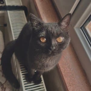 Ecrin A. profil fotoğrafı