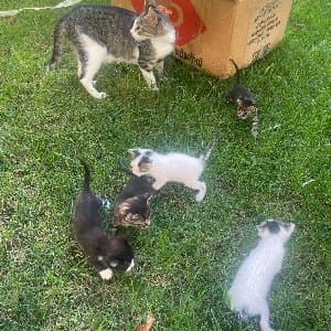 Edanur D. profil fotoğrafı