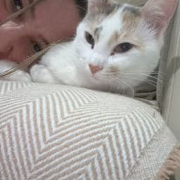 Elif G. profil fotoğrafı