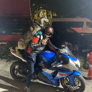 Emre K. profil fotoğrafı