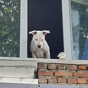 Ercan K. profil fotoğrafı