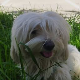 Azra A. profil fotoğrafı