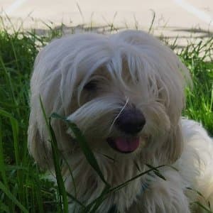 Azra A. profil fotoğrafı