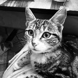 Gamze G. profil fotoğrafı