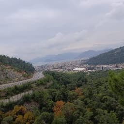 Gülay Ç. profil fotoğrafı