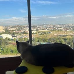 Gülçin O. profil fotoğrafı
