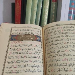 Gülizar A. profil fotoğrafı