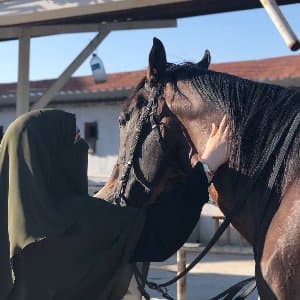 Gülşen K. profil fotoğrafı