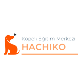 Hachiko K. profil fotoğrafı