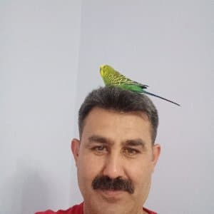 Hamit A. profil fotoğrafı