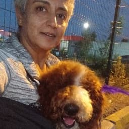 Havva G. profil fotoğrafı