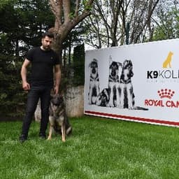 K9 K. profil fotoğrafı