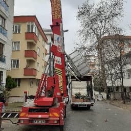 Kolumanlar N. profil fotoğrafı