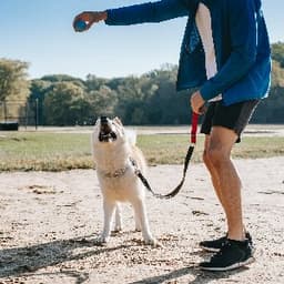 Köpek E. profil fotoğrafı