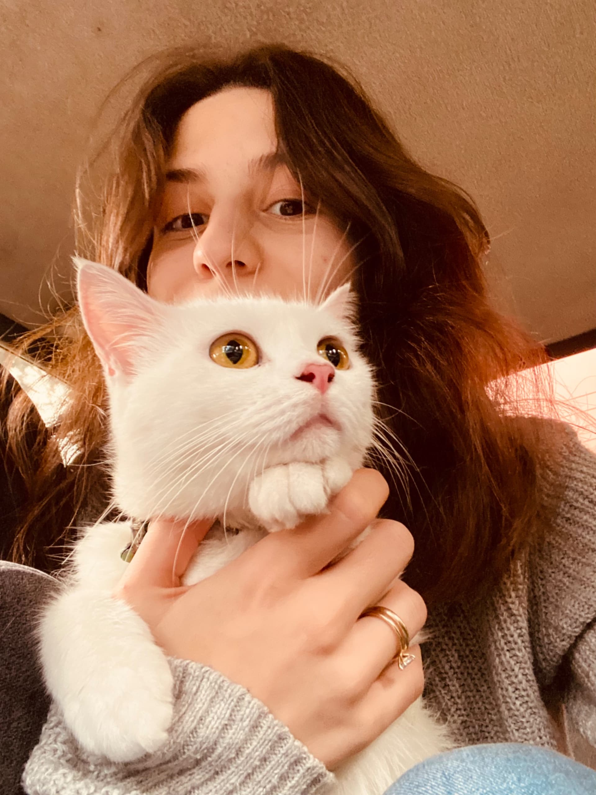 Açelya S. — çalışma 4
