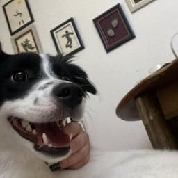 Melisa D. profil fotoğrafı