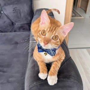 Merve İ. profil fotoğrafı