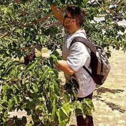 Mesut T. profil fotoğrafı