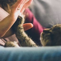 Mia O. profil fotoğrafı