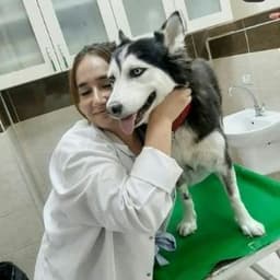 Miraç A. profil fotoğrafı