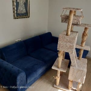 Murat U. profil fotoğrafı