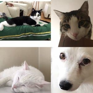 Nesil G. profil fotoğrafı