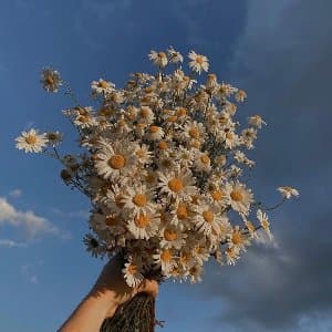 Neslihan Ç. profil fotoğrafı