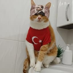 Nil K. profil fotoğrafı