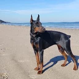 Ömer Y. profil fotoğrafı