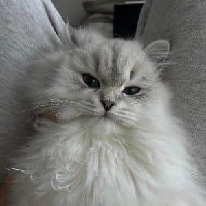 Öykü Y. profil fotoğrafı