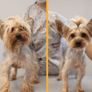 Petzz K. profil fotoğrafı