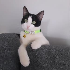 Pınar A. profil fotoğrafı
