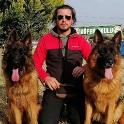 Rasim T. profil fotoğrafı