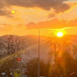 Seda E. profil fotoğrafı
