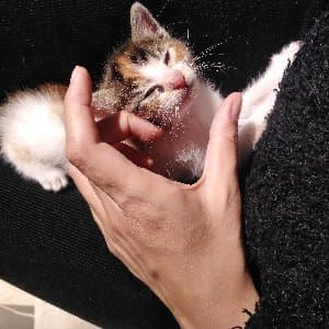 Seher S. profil fotoğrafı