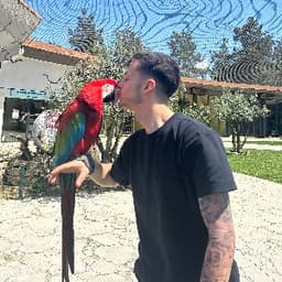 Seyithan P. profil fotoğrafı