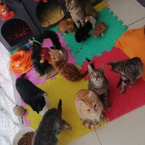 Şeyma Ö. profil fotoğrafı