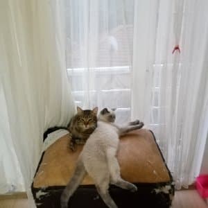 Sezer U. profil fotoğrafı